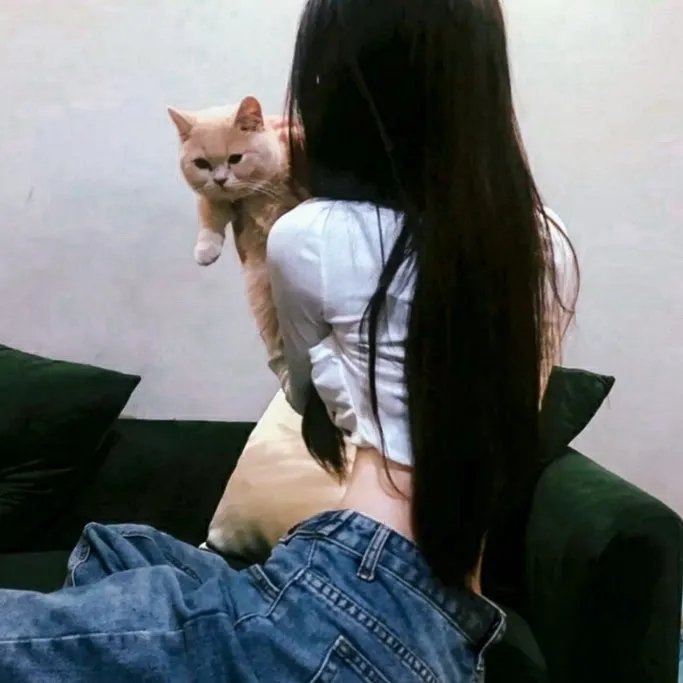 假面女仆